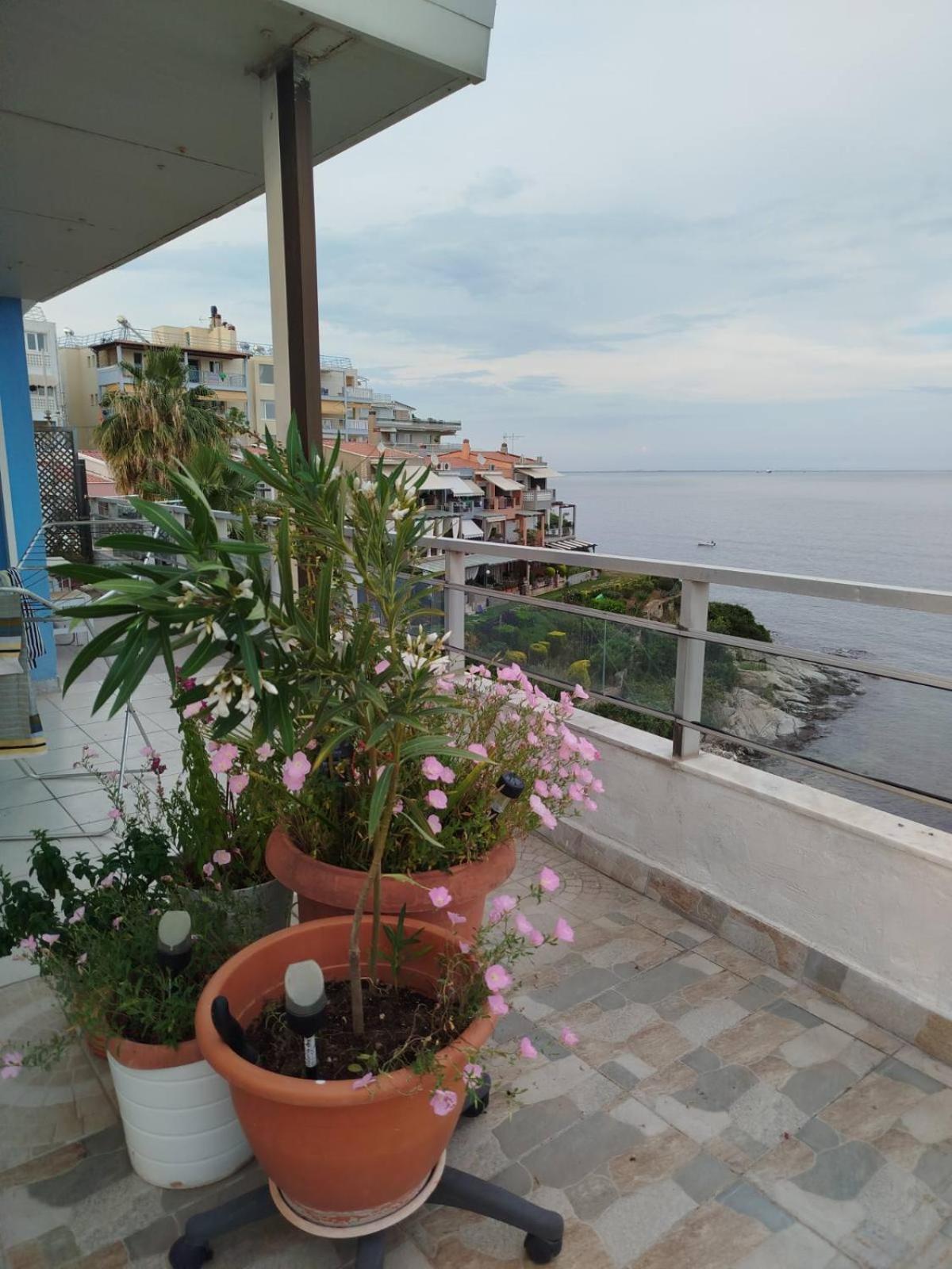카발라 Roof Garden By The Sea 아파트 외부 사진